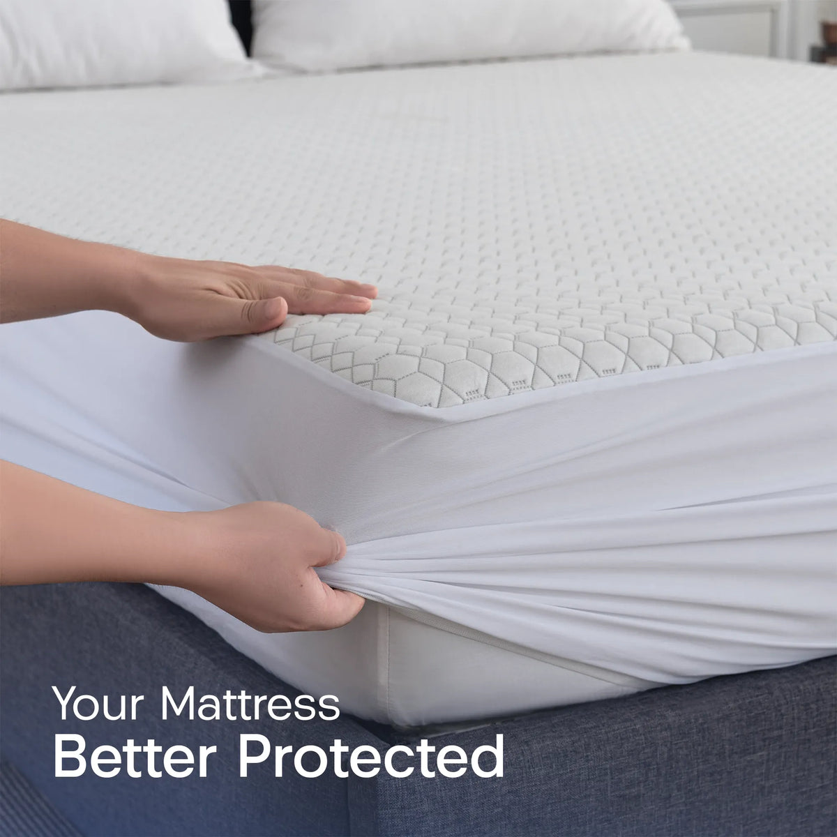 Bamboo Protector